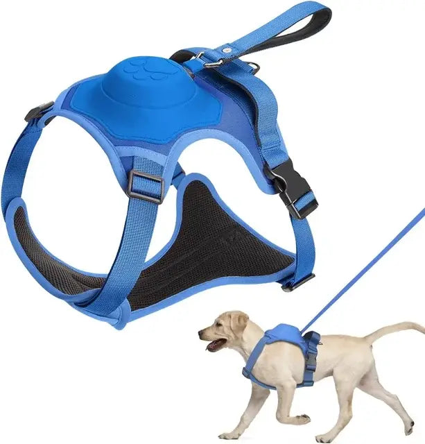 WALKSAFE DUO