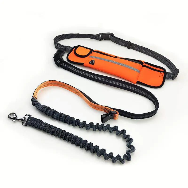 HANDSFREE BUNGEE DOG LEASH