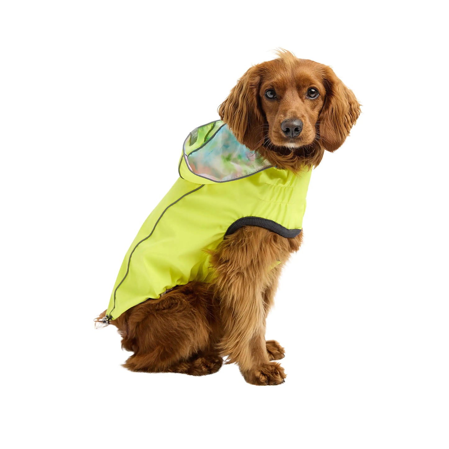 DUAL-SIDE DOG RAINCOAT - NEON AND TIE-DYE