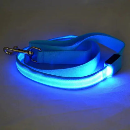 GLOWBRIGHT LED DOG LEASH