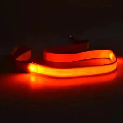 GLOWBRIGHT LED DOG LEASH