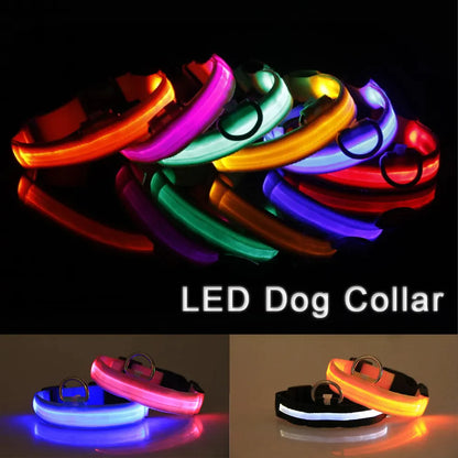 LED ADJUSTABLE DOG COLLAR