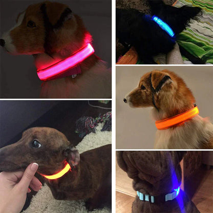 LED ADJUSTABLE DOG COLLAR