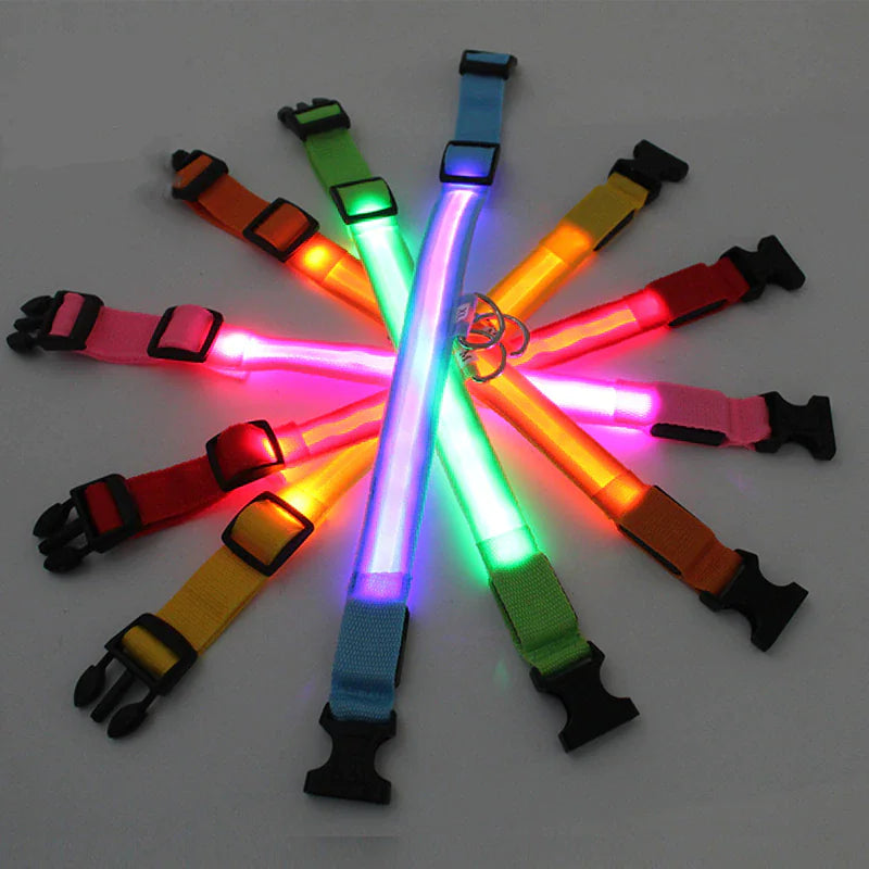 LED ADJUSTABLE DOG COLLAR