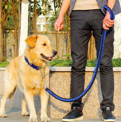 DURABLE LEASH SET FOR LARGE DOGS