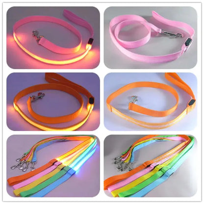 GLOWBRIGHT LED DOG LEASH