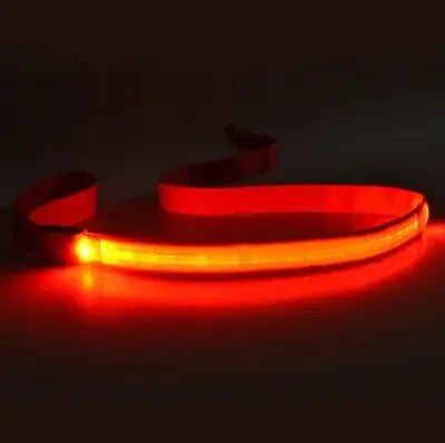 GLOWBRIGHT LED DOG LEASH