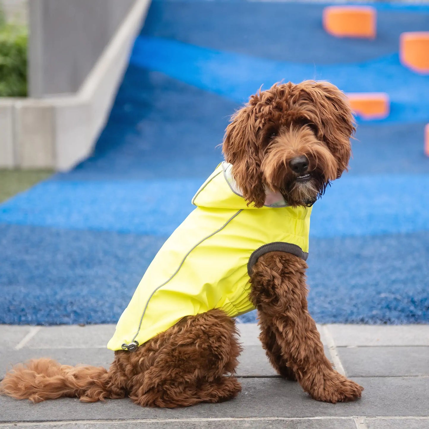 DUAL-SIDE DOG RAINCOAT - NEON AND TIE-DYE