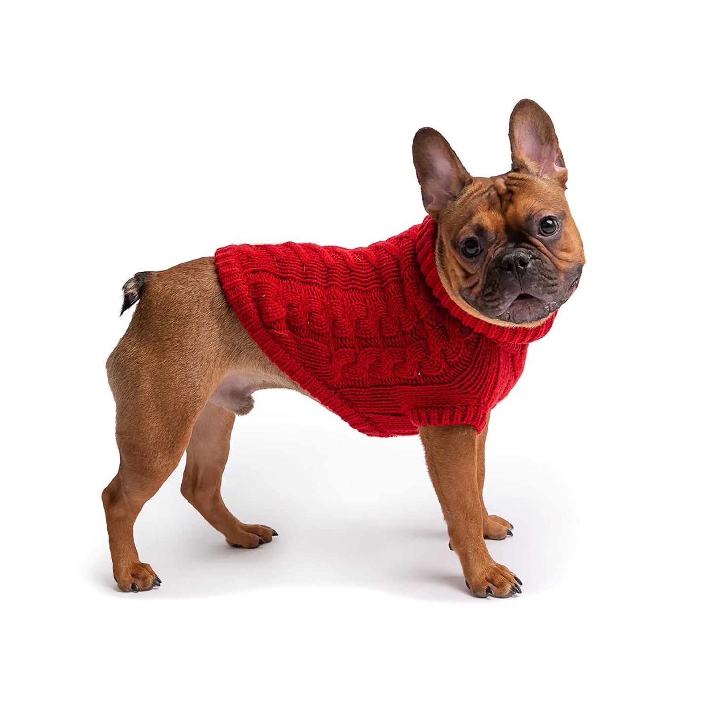 CRIMSON CANINE CHALET KNIT