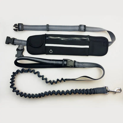 HANDSFREE BUNGEE DOG LEASH