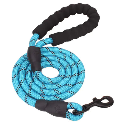 LUMINOUS SAFETY DOG LEASH