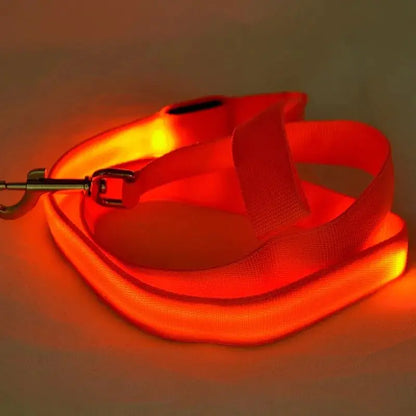 GLOWBRIGHT LED DOG LEASH