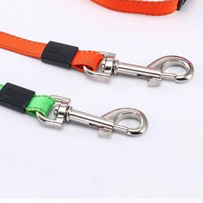 OG COLLARS - 2 IN 1 DOG LEASH