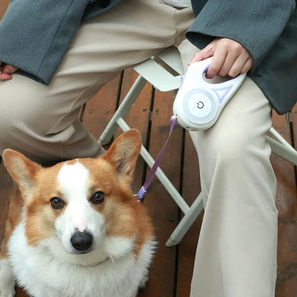 NIGHTGLOW LED DOG LEASH