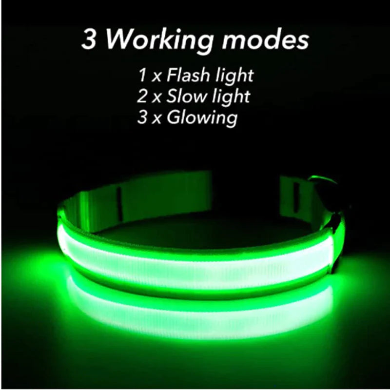 LED ADJUSTABLE DOG COLLAR