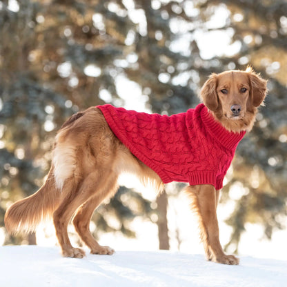 CRIMSON CANINE CHALET KNIT